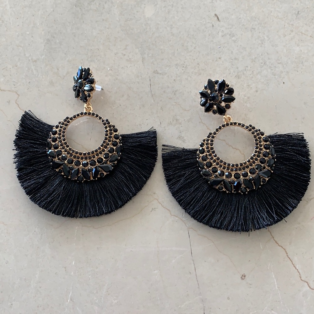 Tassel stone  fan earrings